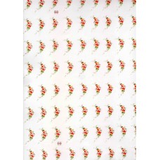 Ref. 79204 - Decalque ramo laranja Ref. 79204 - Decalque ramo laranja