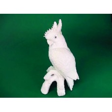 Ref. 15623 - CACATUA CRESPA
