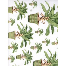 Ref. 78747 - Decalque Coqueiro 