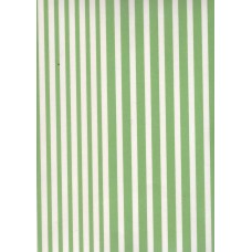 Ref. 79087 - Decalque listra verde clara