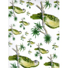 Ref. 78778 - Decalque arara verde